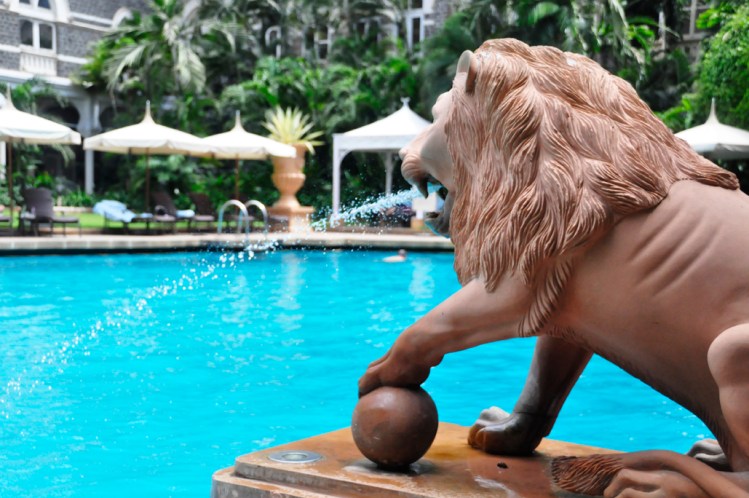 how I loved the projectile vomiting lions at the pool