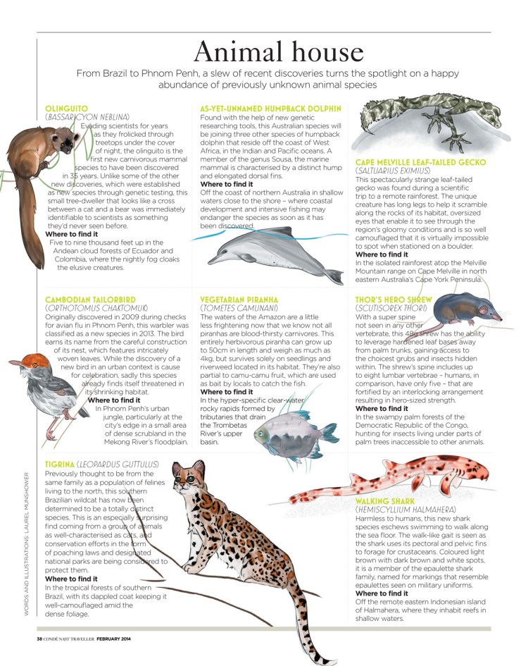 CNTFeb14 Animal House Laurel Munshower